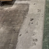 画像239