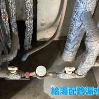 画像247