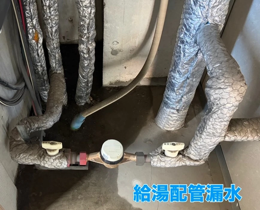 画像247