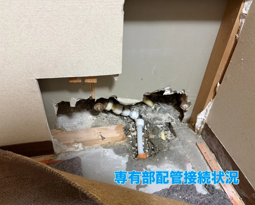 画像249